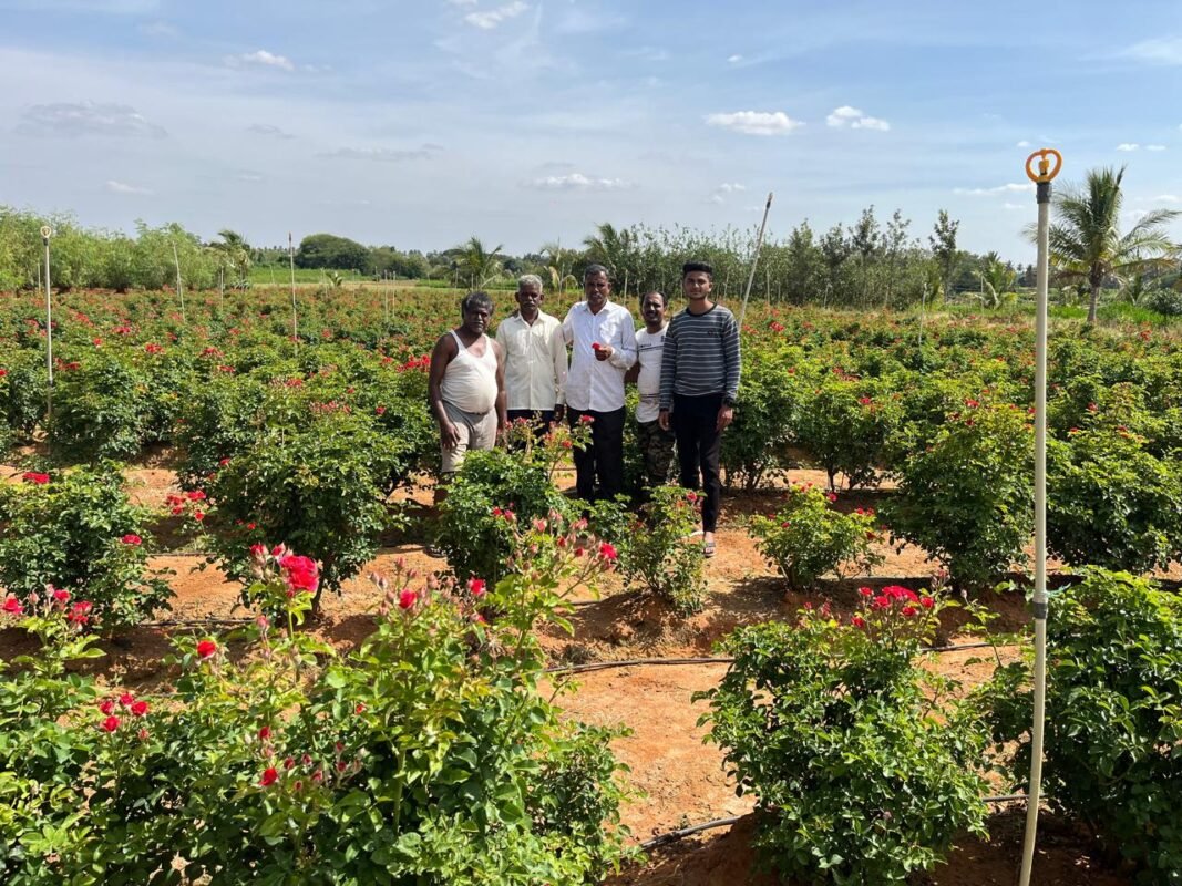 WhatsApp Image 2025-10-30 at 14.52.20_96337ecd