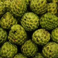 Custard Apples(सीताफळ)