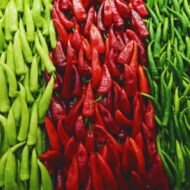 Red and Green chillies
