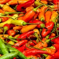 Red and Green chillies - Image 2